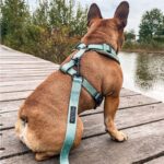 Riem │ Jessie