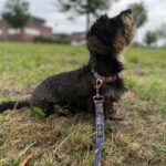 Riem │ Frenkie