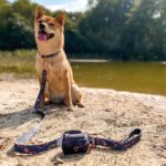 Riem │ Frenkie