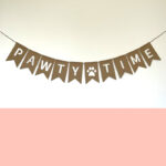 Slinger | Pawtytime