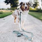Set met halsband │ Jessie
