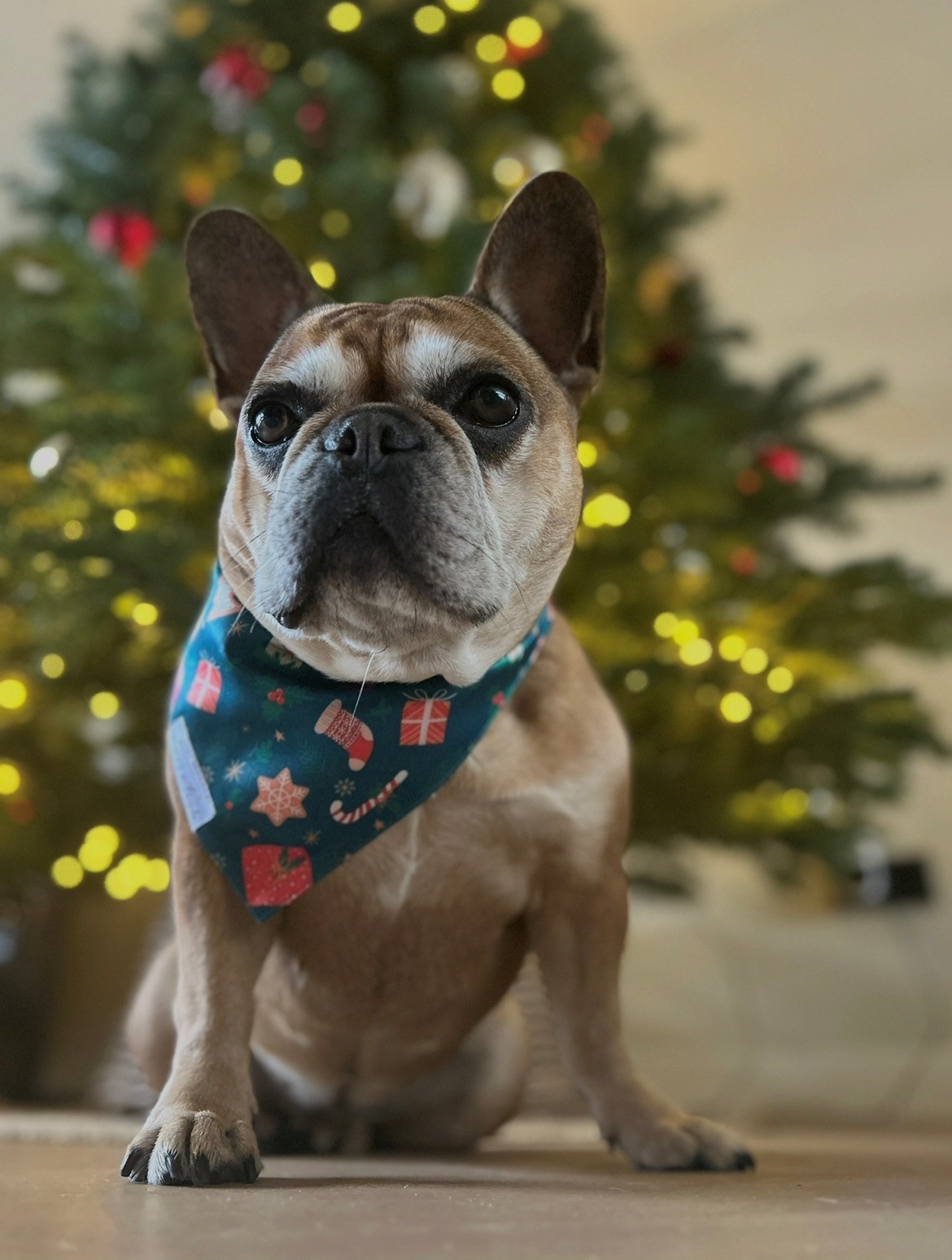Kerstbandana - groen