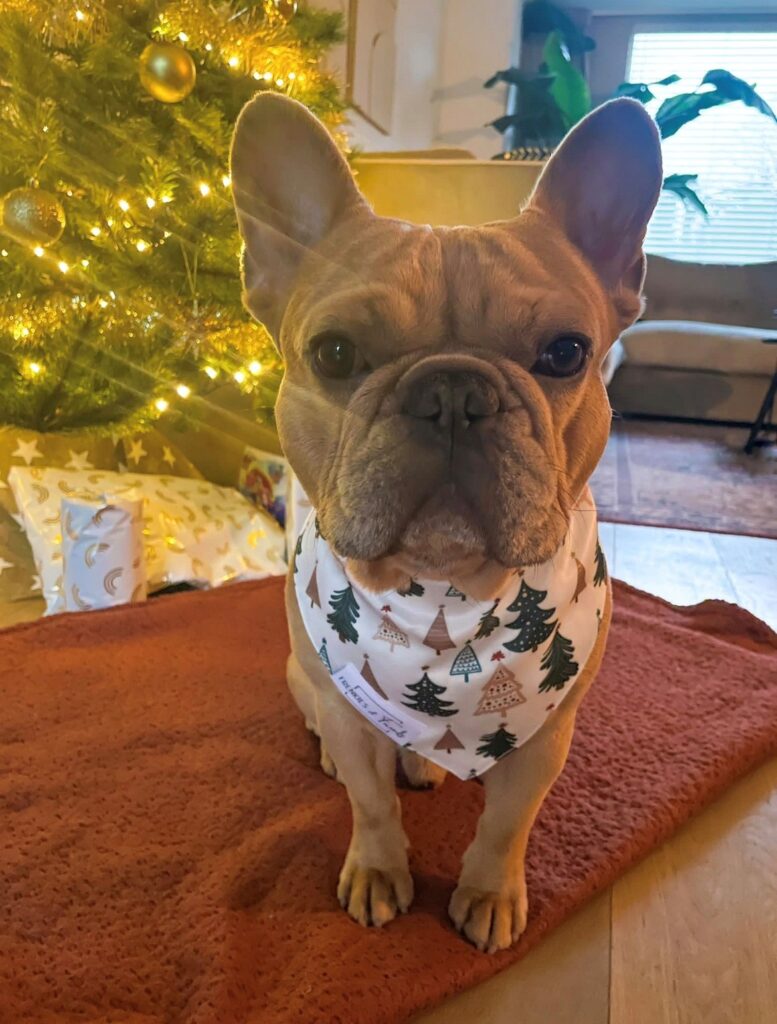 Bandana kerst – wit